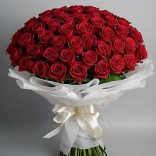 Букет 101 Красная роза Блэк Мэджик в Трудовом