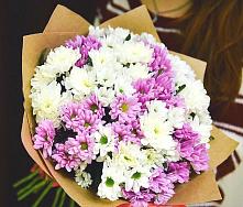 Букет цветов из:  Хризантемы #REPLACE_PRED# Трудовом