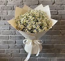 Букет цветов из:  Ромашки #REPLACE_PRED# Трудовом