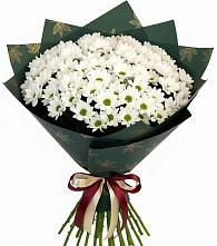 Букет цветов из:  Хризантемы #REPLACE_PRED# Трудовом