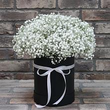 Цветочная композиция из Гипсофила в шляпной коробке в Трудовом