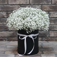 Цветочная композиция из Гипсофила в шляпной коробке в Трудовом